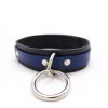 locking-slave-collar-blue-front