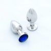 stainless-steel-anal-plug-blue