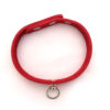 red-leather-collar-top-view