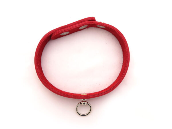 red-leather-collar-top-view