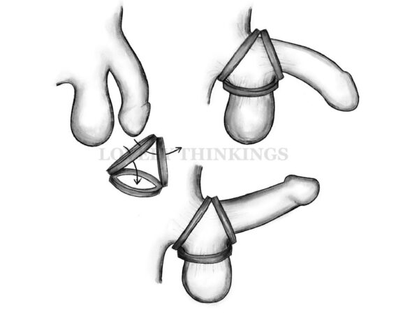 triple-cages-cock-ring