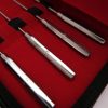 rosebud-urethral-sounding-kit