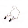 nipple-chain-and-clamps