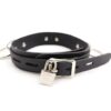 bdsm-locking-collar-black-back