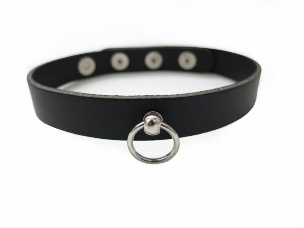 standard-leather-bdsm-collar-front