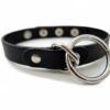 standard-sex-slave-collar
