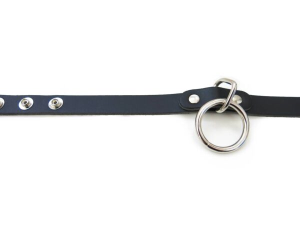 standard-sex-slave-collar