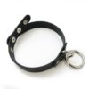 standard-sex-slave-collar