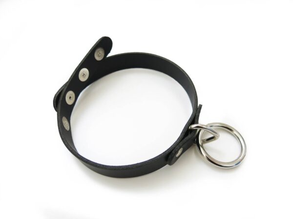 standard-sex-slave-collar