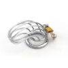 bird-cage-chastity-device