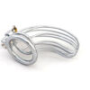 bird-cage-chastity-device