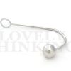 anal-hook